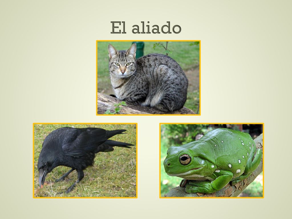 El aliado Visualice cada una de las diapositivas al 87% de su tamaño.