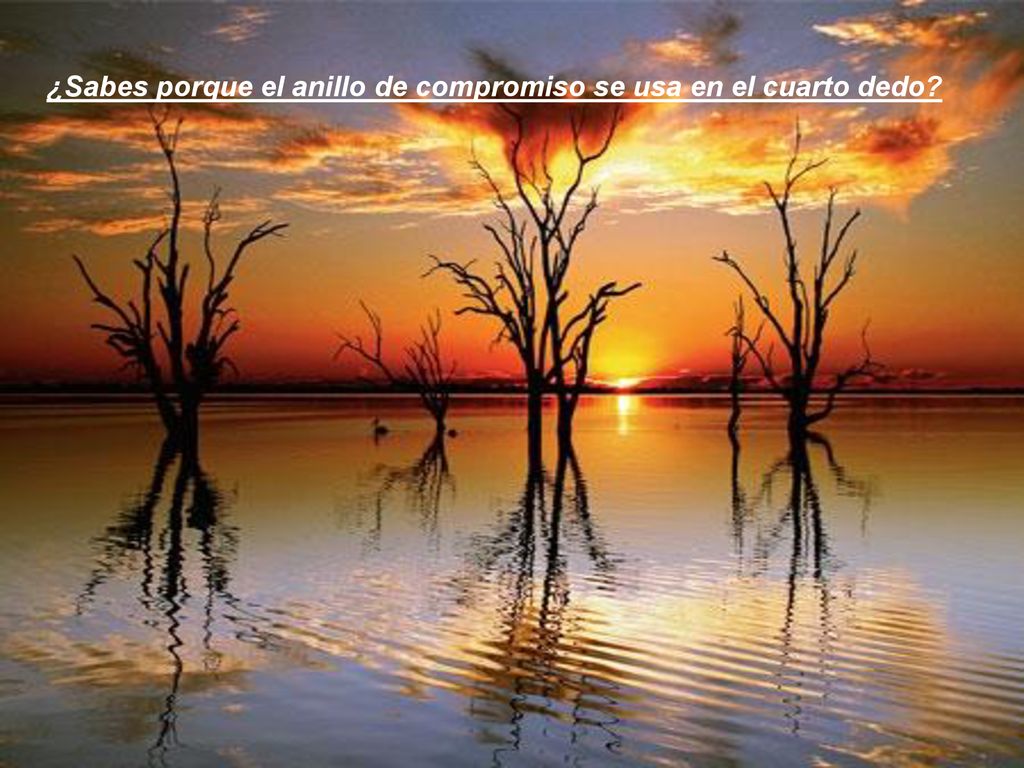 ¿Sabes porque el anillo de compromiso se usa en el cuarto dedo