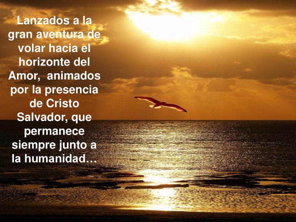 Lanzados a la gran aventura de volar hacia el horizonte del Amor, animados por la presencia de Cristo Salvador, que permanece siempre junto a la humanidad…