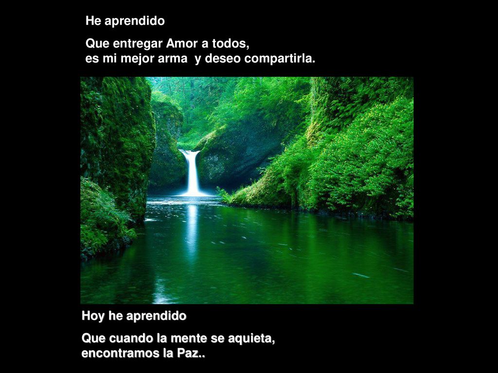 He aprendido Que entregar Amor a todos, es mi mejor arma y deseo compartirla.
