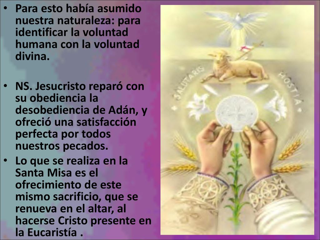 Para esto había asumido nuestra naturaleza: para identificar la voluntad humana con la voluntad divina.