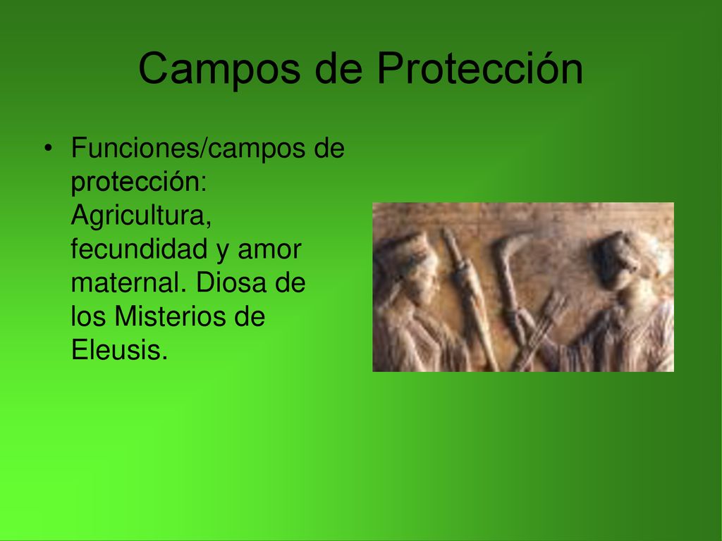 Campos de Protección Funciones/campos de protección: Agricultura, fecundidad y amor maternal.