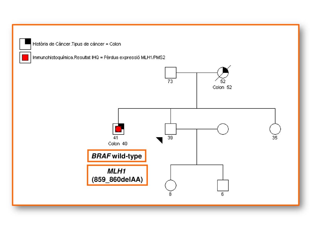 BRAF wild-type MLH1 (859_860delAA)