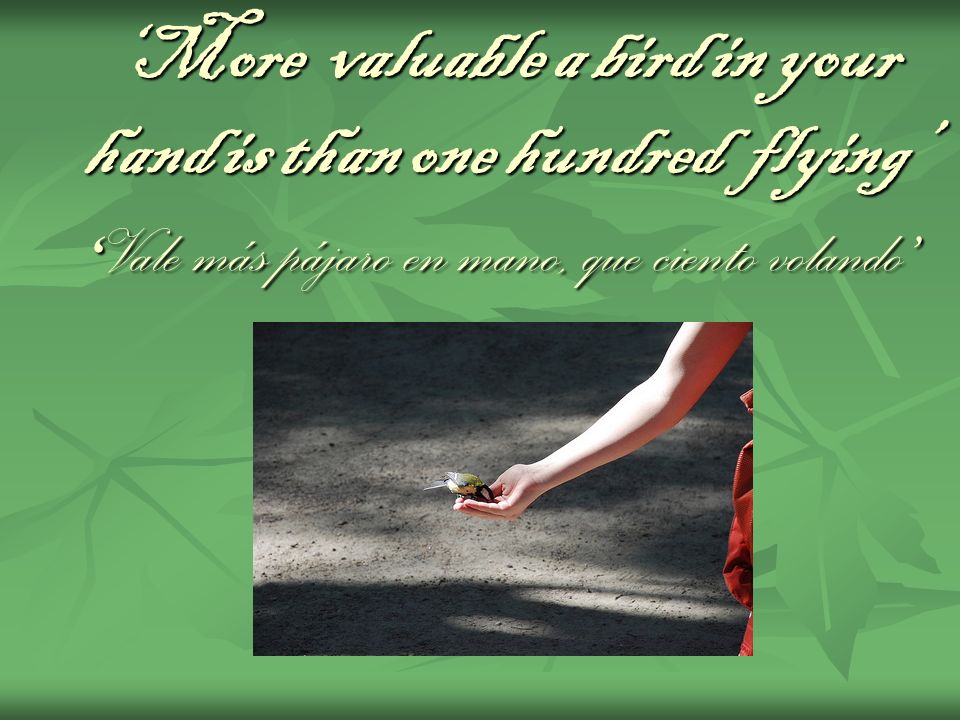 ‘More valuable a bird in your hand is than one hundred flying’ ‘Vale más pájaro en mano, que ciento volando’