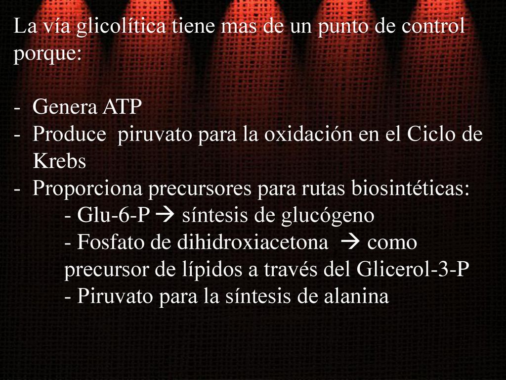 La vía glicolítica tiene mas de un punto de control porque: