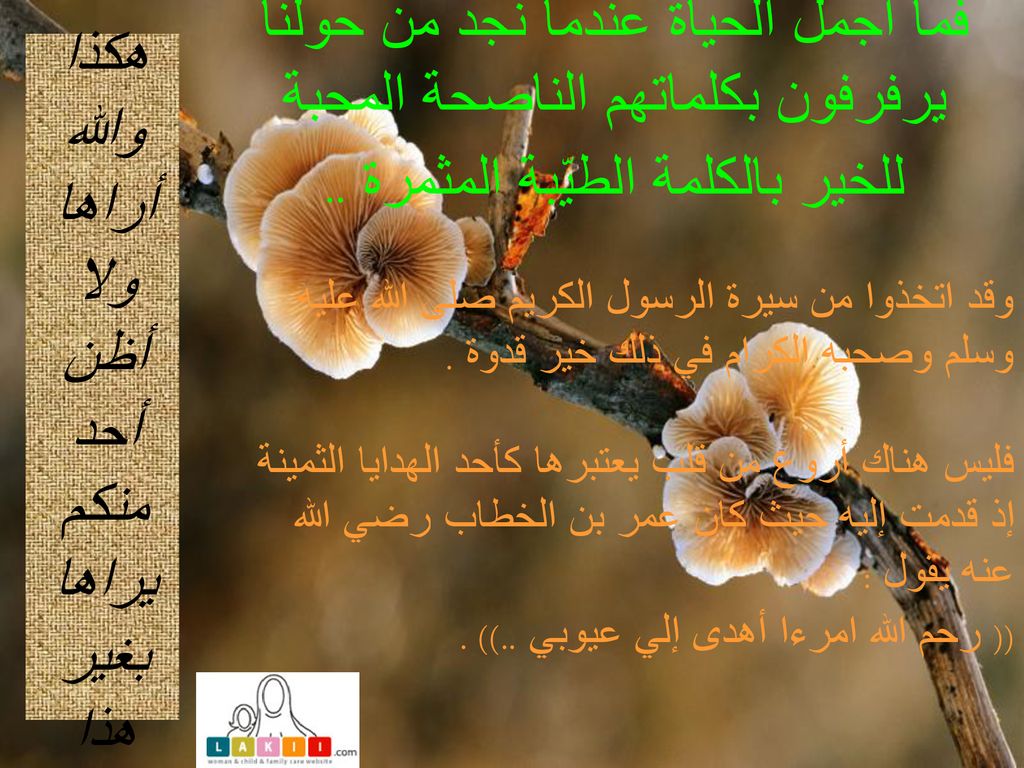 هكذا والله أراها ولا أظن أحد منكم يراها بغير هذا المنظار الجميل ..