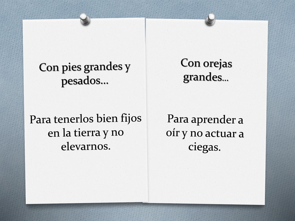 Con orejas grandes… Para aprender a oír y no actuar a ciegas.