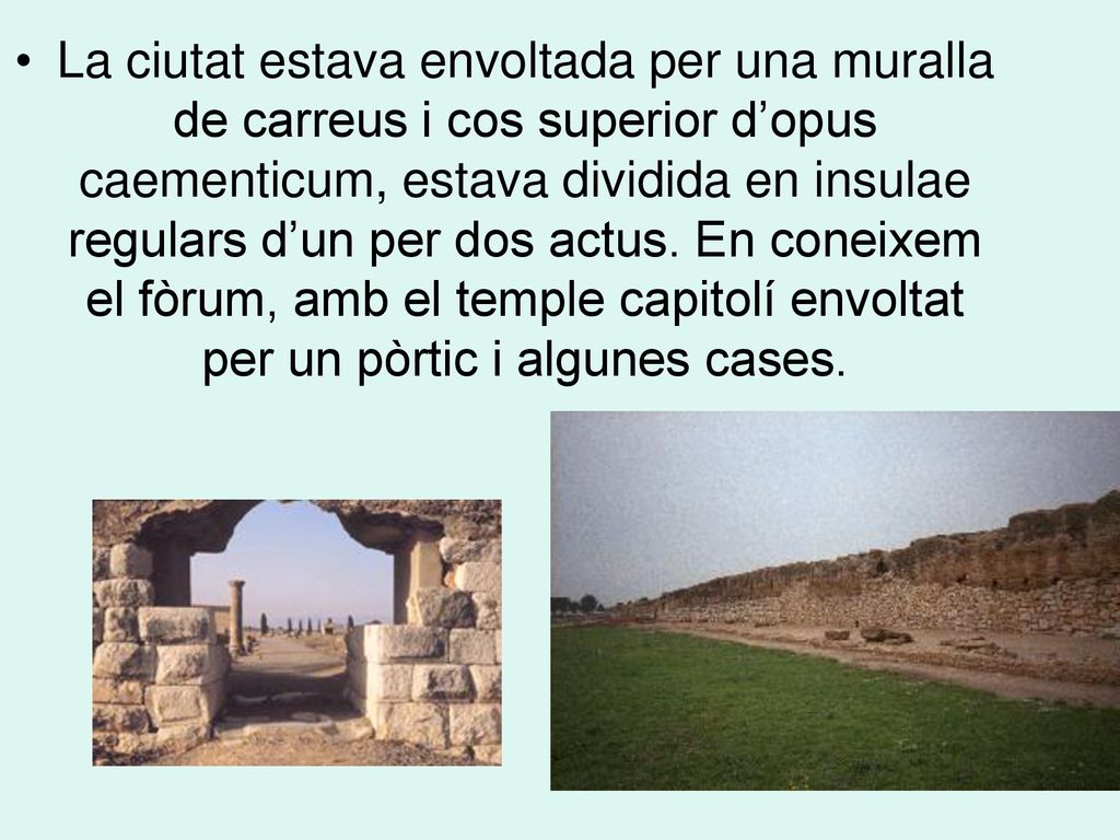 La ciutat estava envoltada per una muralla de carreus i cos superior d’opus caementicum, estava dividida en insulae regulars d’un per dos actus.