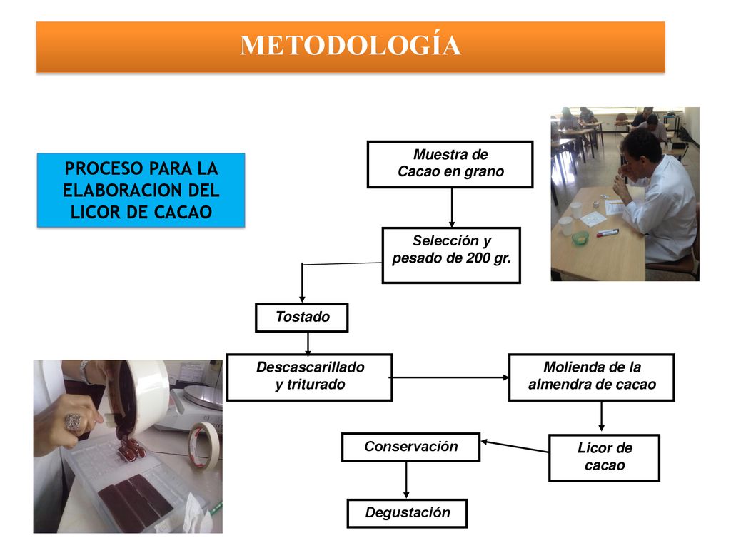 METODOLOGÍA PROCESO PARA LA ELABORACION DEL LICOR DE CACAO Muestra de