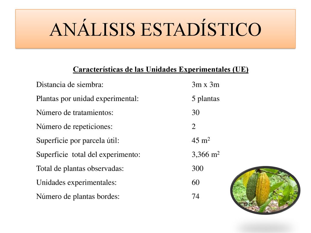 ANÁLISIS ESTADÍSTICO Características de las Unidades Experimentales (UE) Distancia de siembra: 3m x 3m.