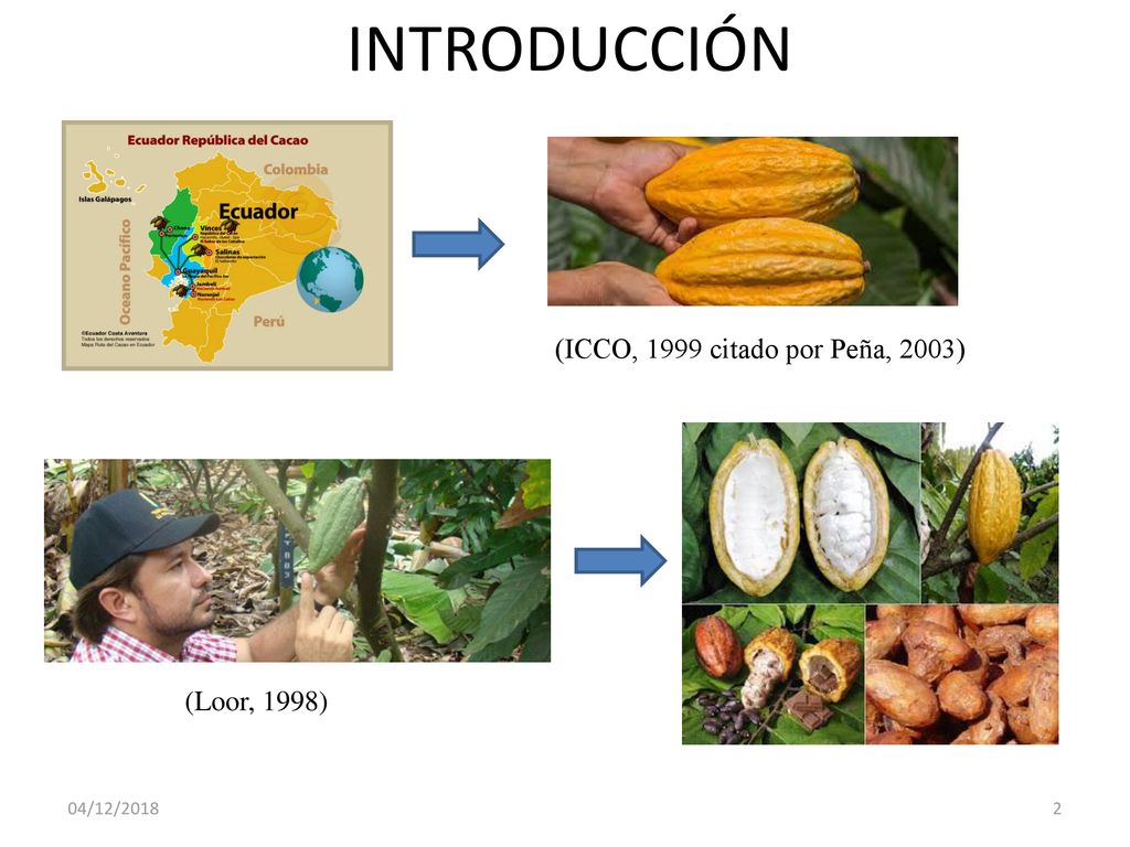 INTRODUCCIÓN (ICCO, 1999 citado por Peña, 2003) (Loor, 1998)