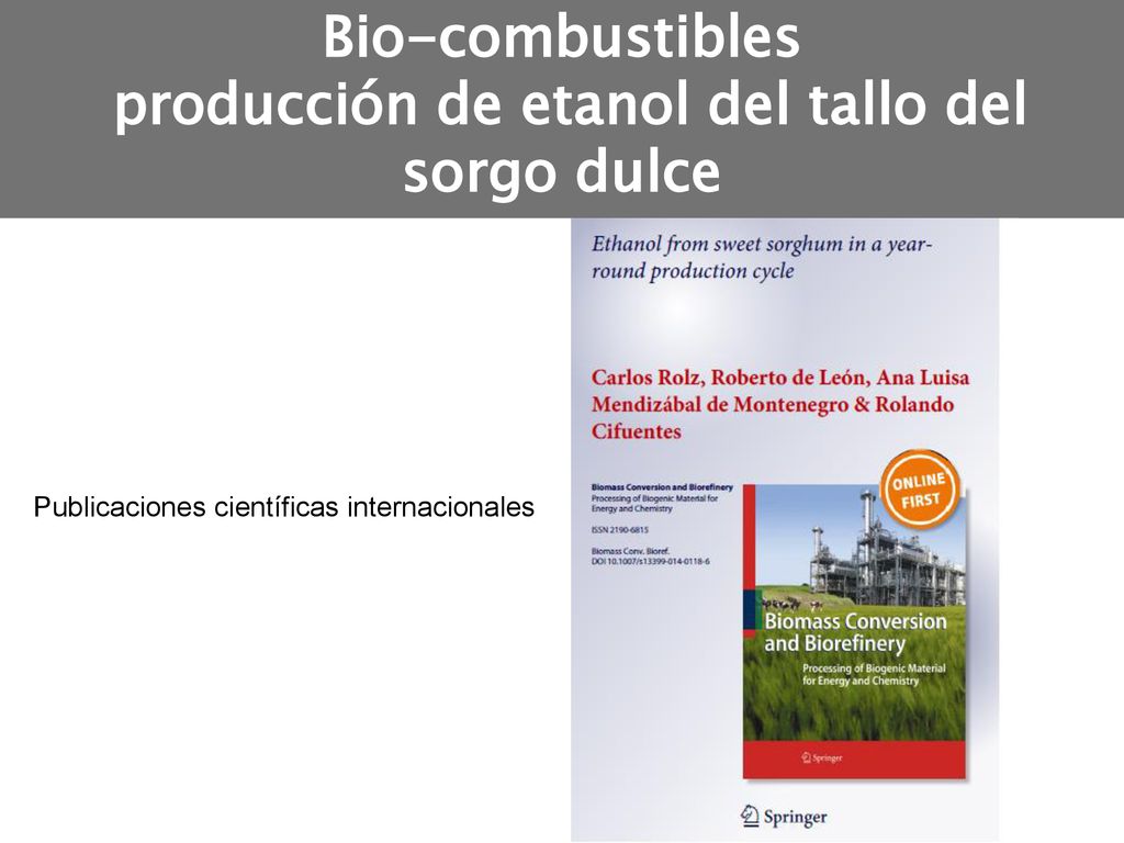 Bio-combustibles producción de etanol del tallo del sorgo dulce