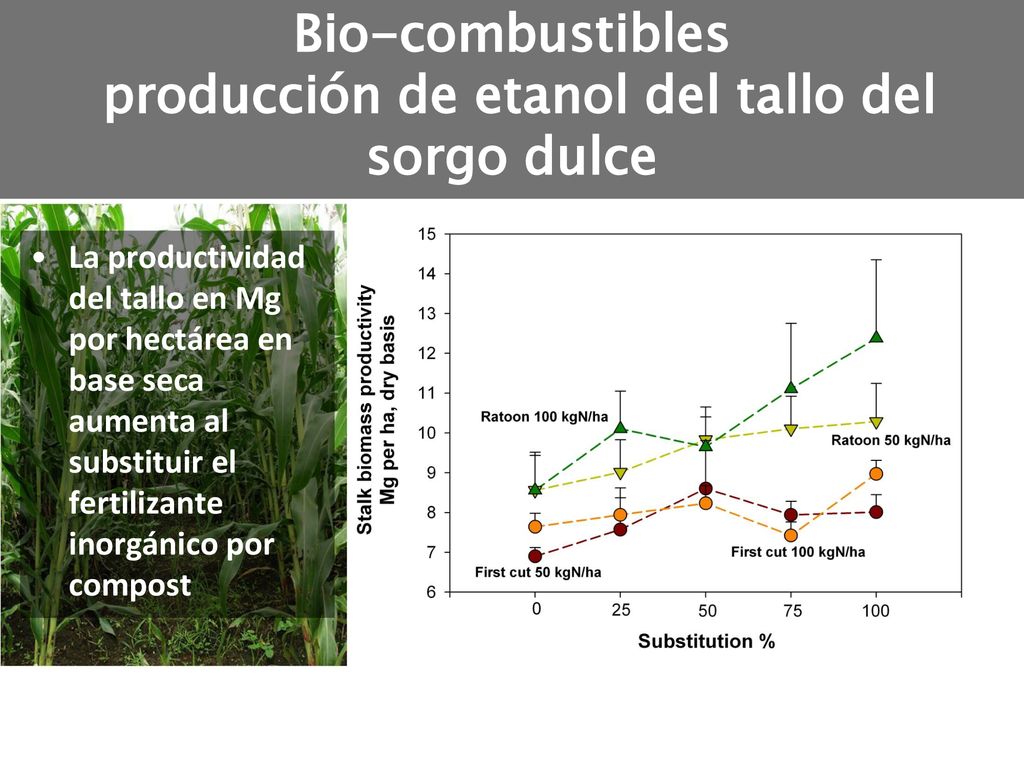 Bio-combustibles producción de etanol del tallo del sorgo dulce