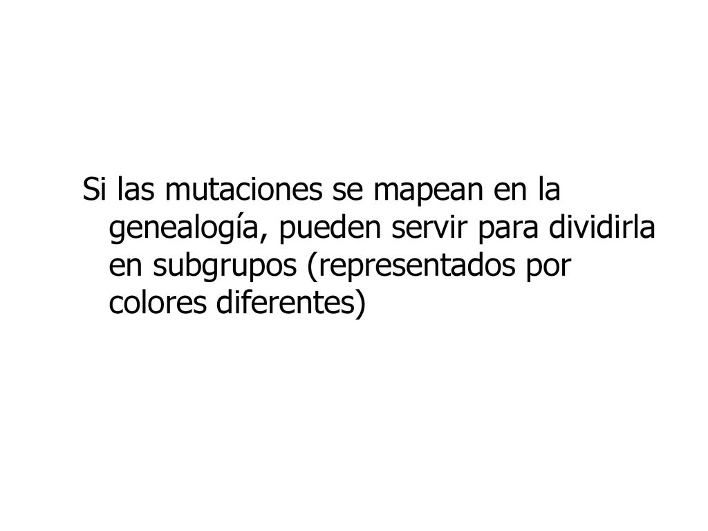 Si las mutaciones se mapean en la genealogía, pueden servir para dividirla en subgrupos (representados por colores diferentes)