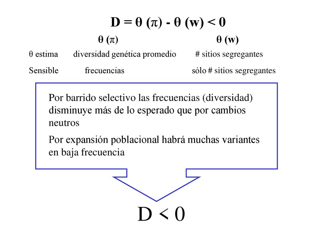 D < 0 D = θ (π) - θ (w) < 0 θ (π) θ (w)