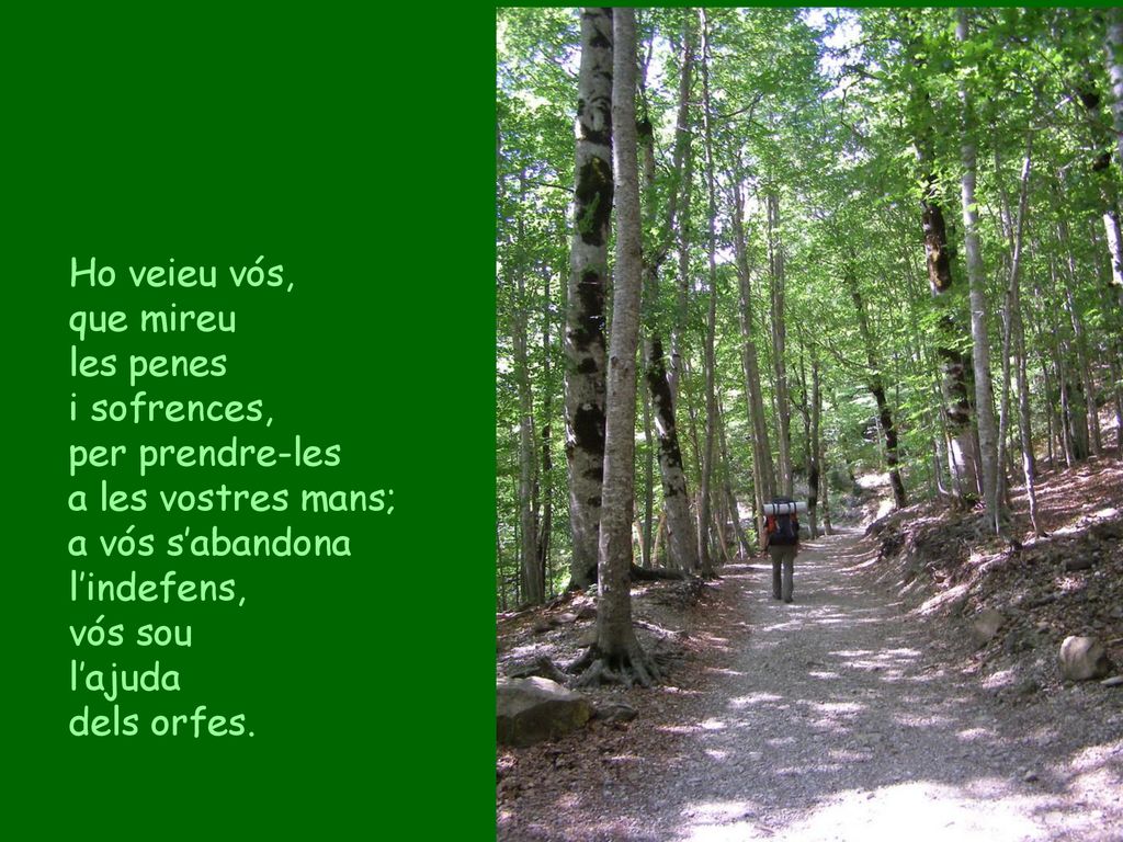 Ho veieu vós, que mireu. les penes. i sofrences, per prendre-les. a les vostres mans; a vós s’abandona l’indefens,