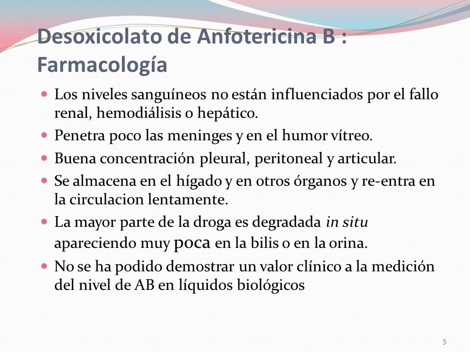 Desoxicolato de Anfotericina B : Farmacología