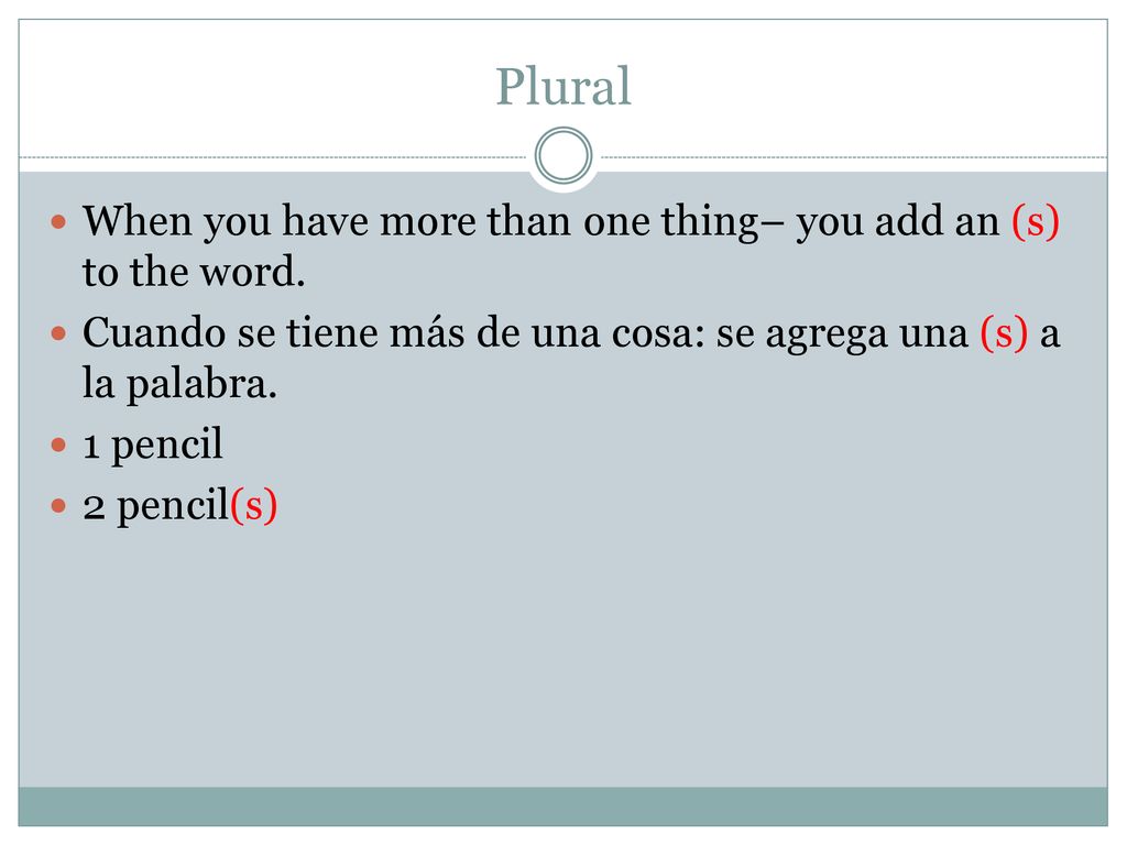 Plural When you have more than one thing– you add an (s) to the word.