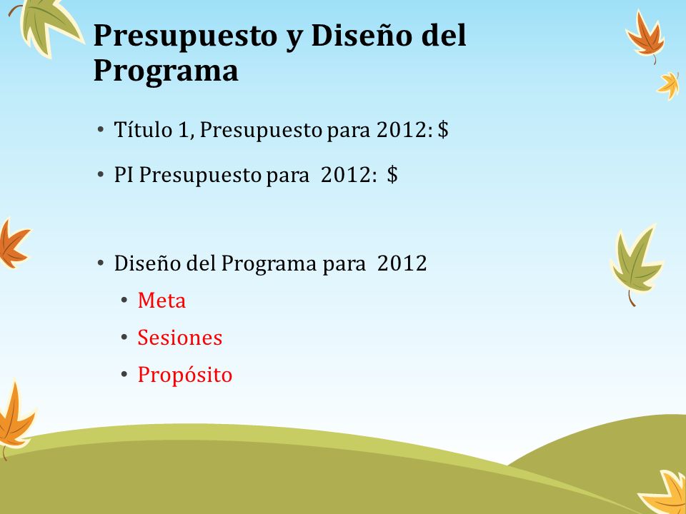 Presupuesto y Diseño del Programa