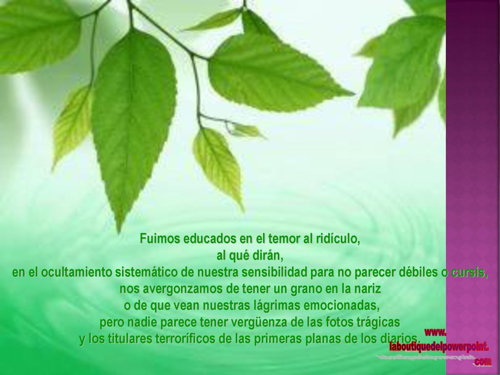 Fuimos educados en el temor al ridículo, al qué dirán,