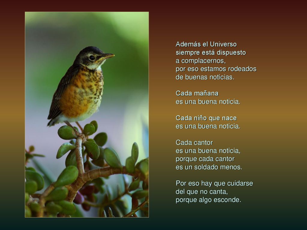 Además el Universo siempre está dispuesto. a complacernos, por eso estamos rodeados. de buenas noticias.