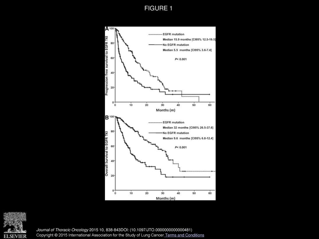 FIGURE 1 Progression free survival and overall survival to EGFR TKI.