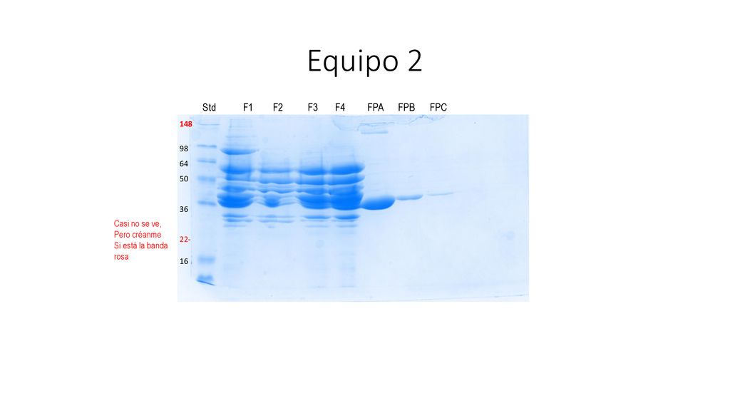 Equipo 2 Std F1 F2 F3 F4 FPA FPB FPC Casi no se ve, Pero créanme
