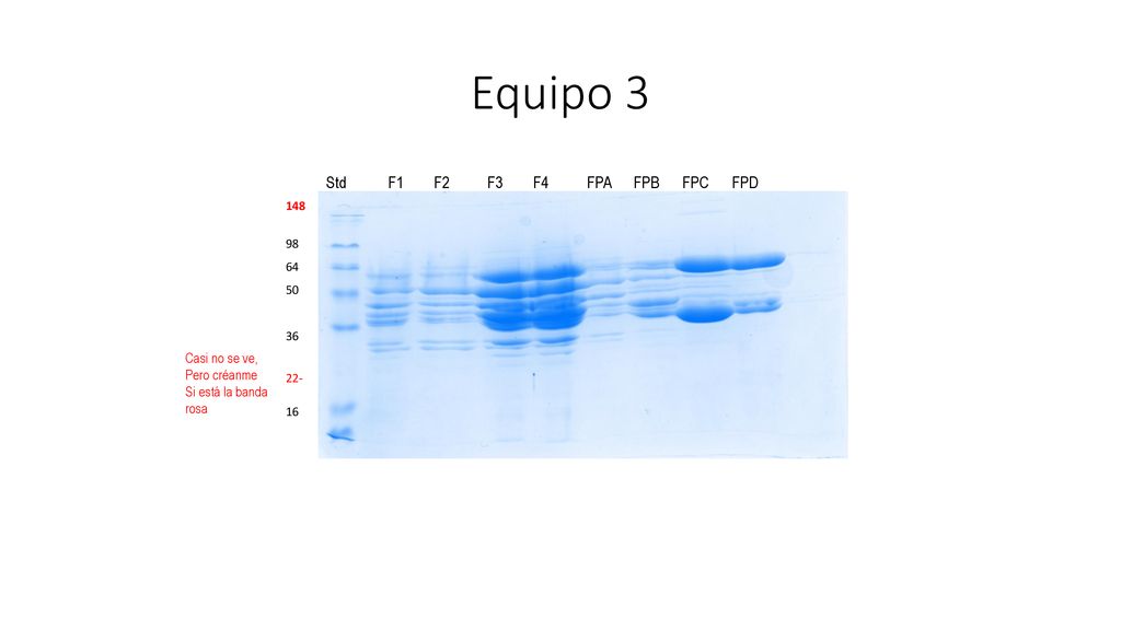 Equipo 3 Std F1 F2 F3 F4 FPA FPB FPC FPD Casi no se ve, Pero créanme