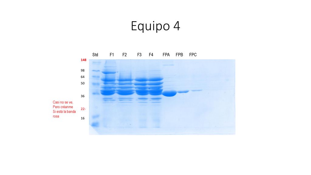 Equipo 4 Std F1 F2 F3 F4 FPA FPB FPC Casi no se ve, Pero créanme