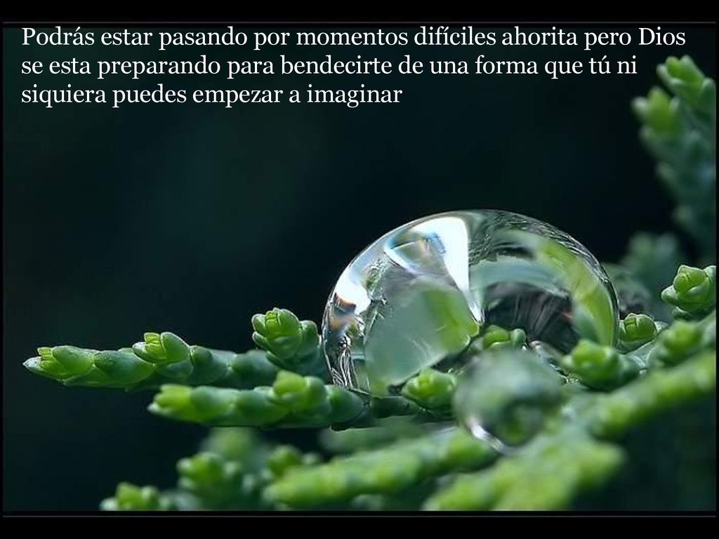 Podrás estar pasando por momentos difíciles ahorita pero Dios se esta preparando para bendecirte de una forma que tú ni siquiera puedes empezar a imaginar