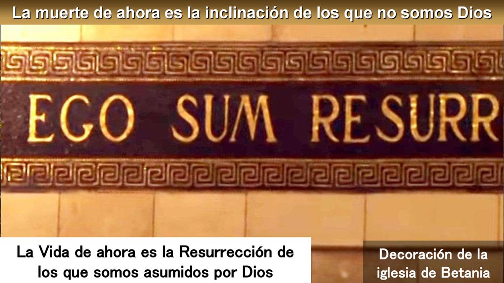 La Vida de ahora es la Resurrección de los que somos asumidos por Dios