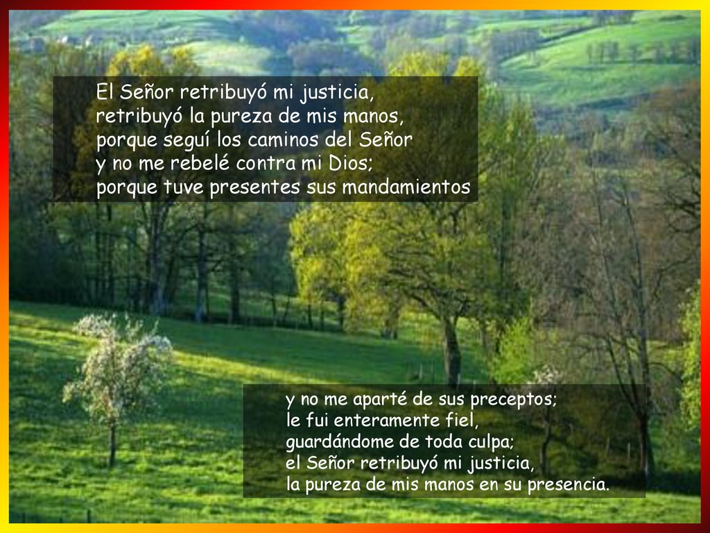 El Señor retribuyó mi justicia, retribuyó la pureza de mis manos, porque seguí los caminos del Señor y no me rebelé contra mi Dios; porque tuve presentes sus mandamientos
