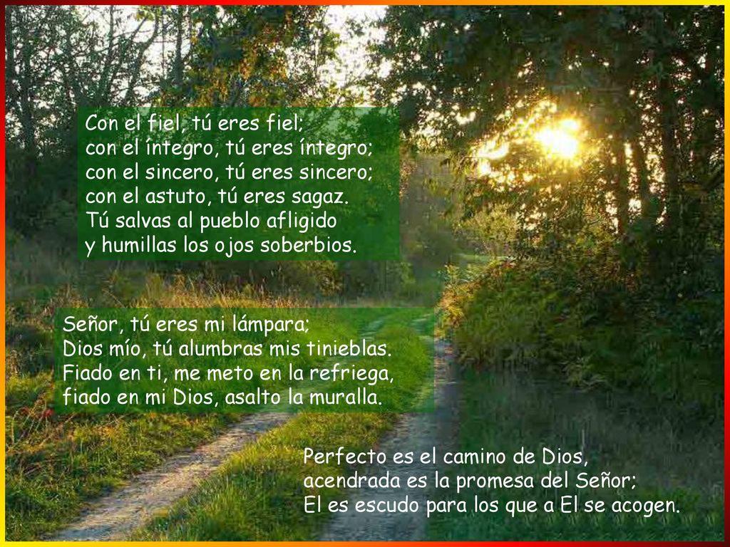 Con el fiel, tú eres fiel; con el íntegro, tú eres íntegro; con el sincero, tú eres sincero; con el astuto, tú eres sagaz. Tú salvas al pueblo afligido y humillas los ojos soberbios.