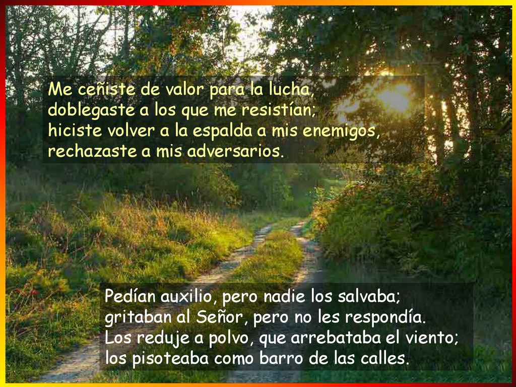 Me ceñiste de valor para la lucha, doblegaste a los que me resistían; hiciste volver a la espalda a mis enemigos, rechazaste a mis adversarios.