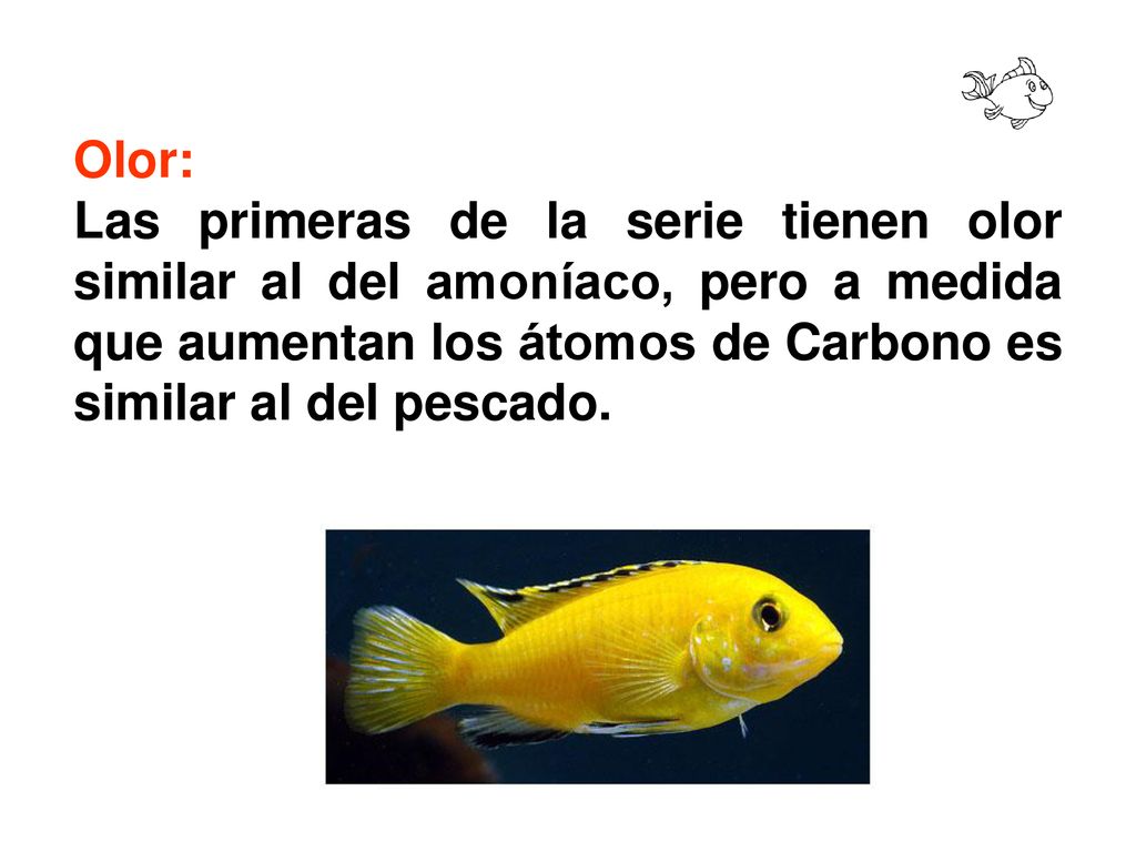 Olor: Las primeras de la serie tienen olor similar al del amoníaco, pero a medida que aumentan los átomos de Carbono es similar al del pescado.