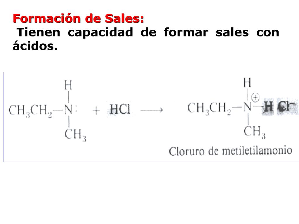 Formación de Sales: Tienen capacidad de formar sales con ácidos.