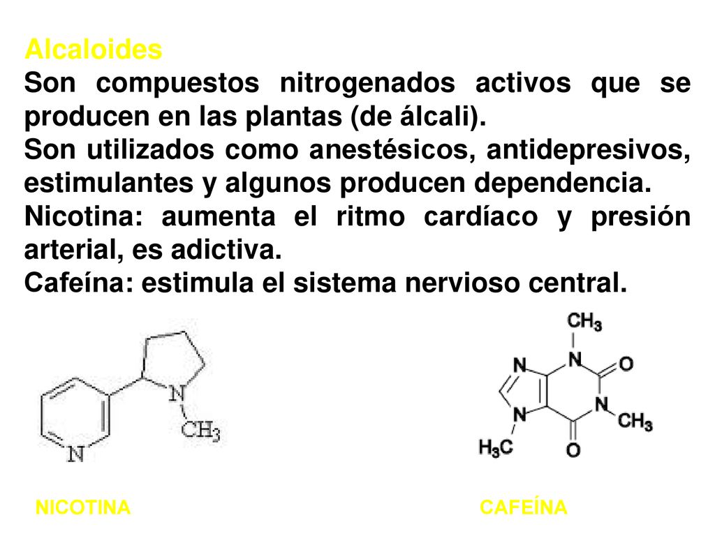 Nicotina: aumenta el ritmo cardíaco y presión arterial, es adictiva.