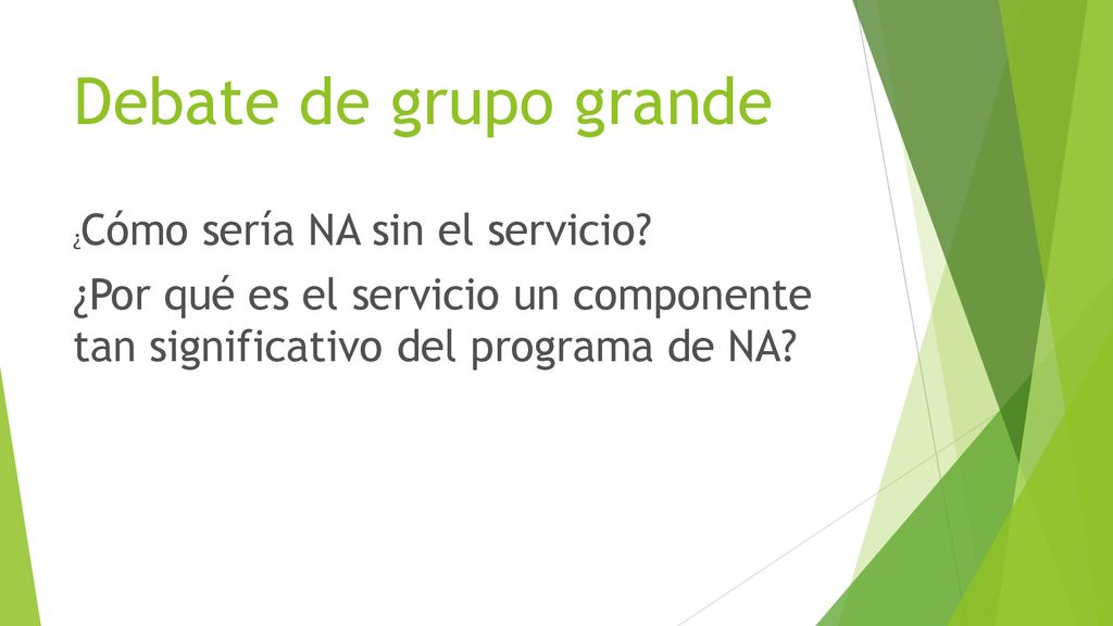 Debate de grupo grande ¿Cómo sería NA sin el servicio.