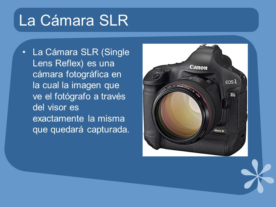 La Cámara SLR