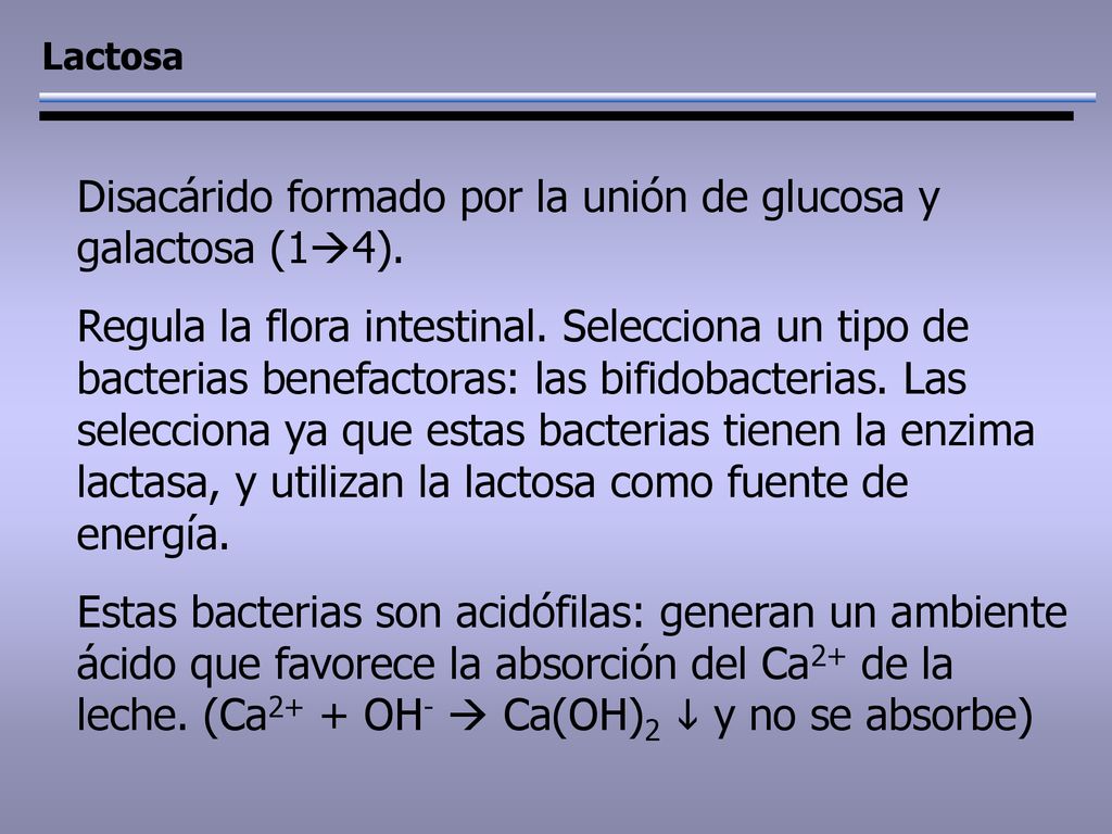 Disacárido formado por la unión de glucosa y galactosa (14).