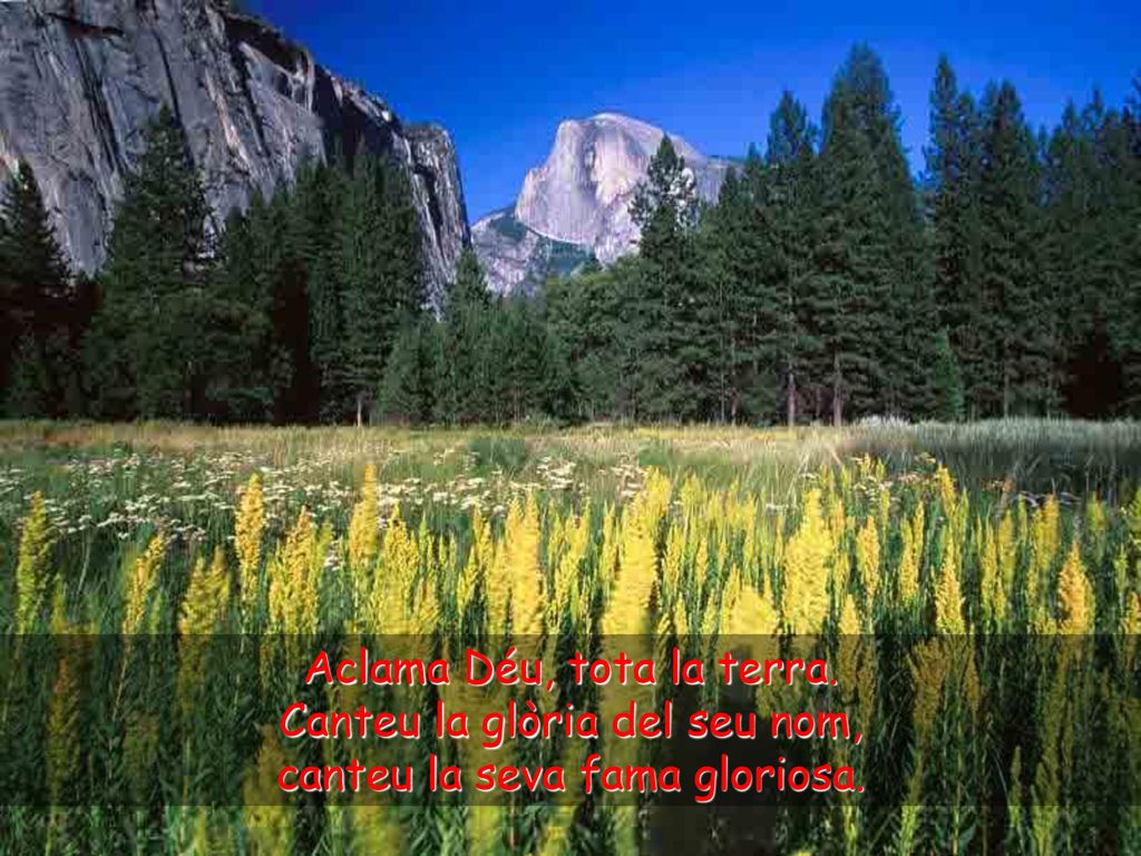 Aclama Déu, tota la terra. Canteu la glòria del seu nom,
