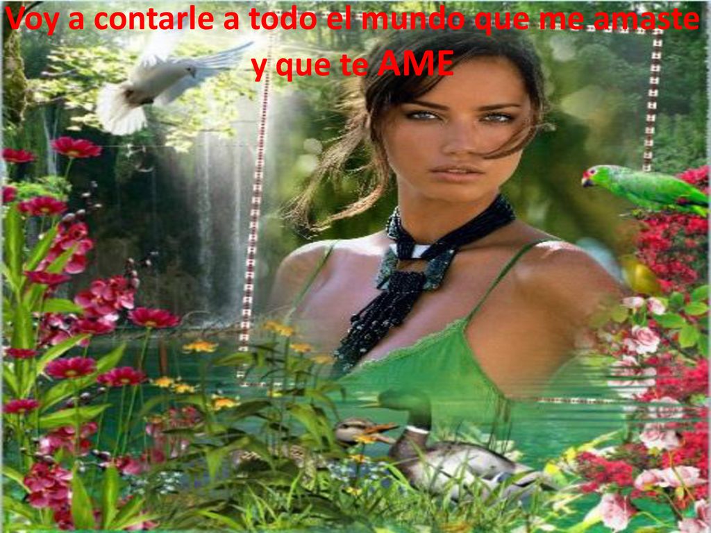 Voy a contarle a todo el mundo que me amaste y que te AME