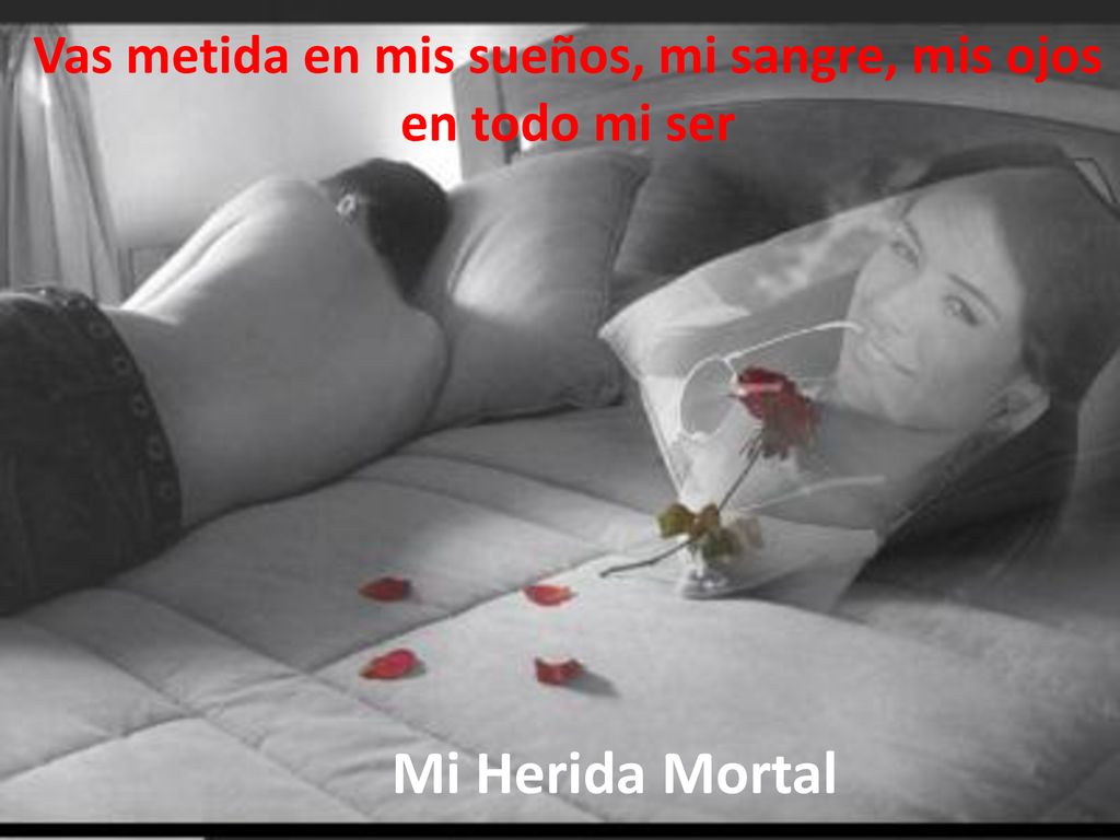 Vas metida en mis sueños, mi sangre, mis ojos en todo mi ser