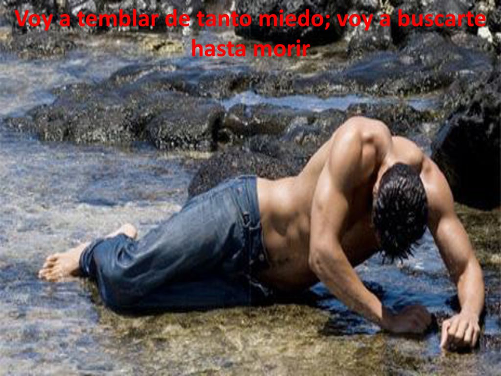 Voy a temblar de tanto miedo; voy a buscarte hasta morir