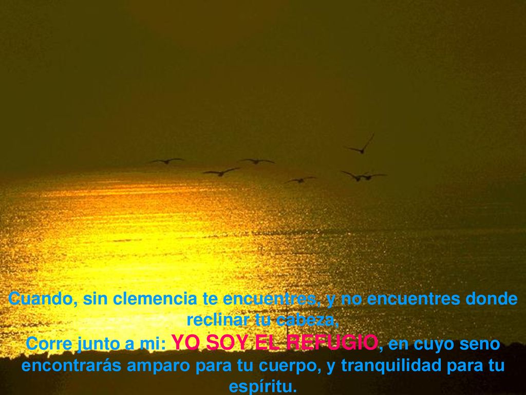Cuando, sin clemencia te encuentres, y no encuentres donde reclinar tu cabeza,