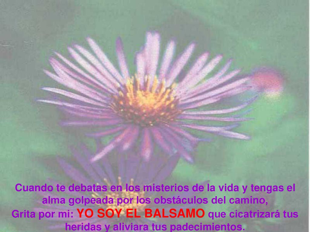 Cuando te debatas en los misterios de la vida y tengas el alma golpeada por los obstáculos del camino,