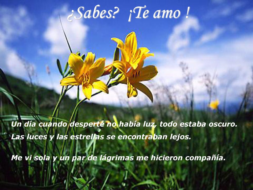 ¿Sabes ¡Te amo ! Un día cuando desperté no había luz, todo estaba oscuro. Las luces y las estrellas se encontraban lejos.