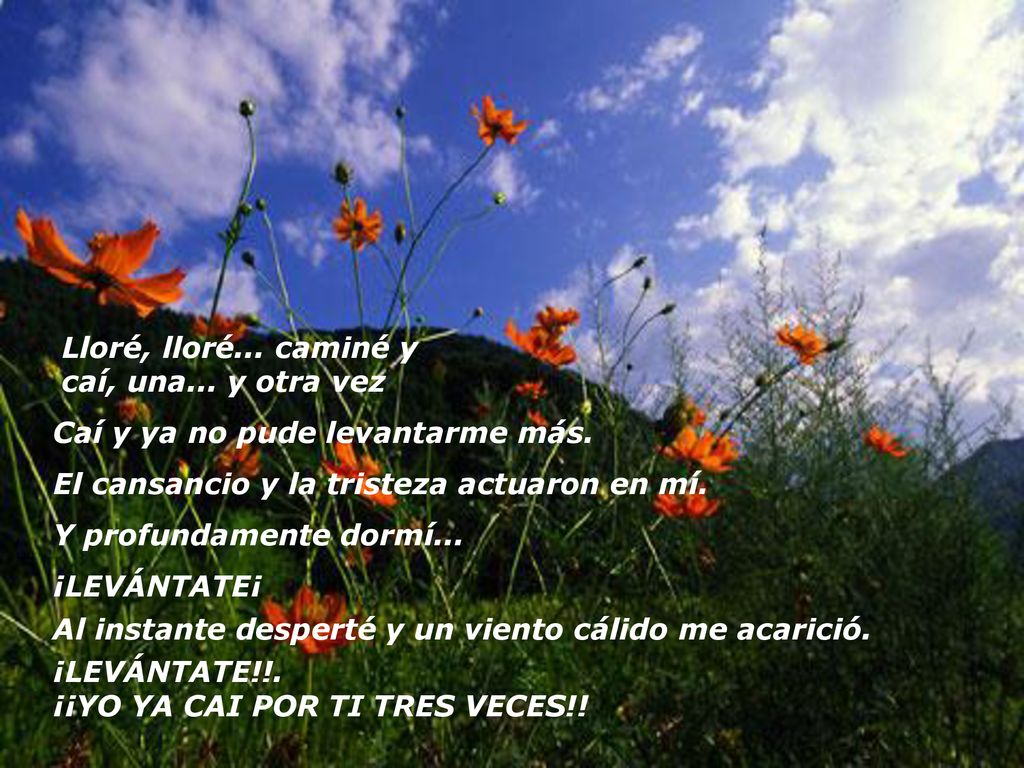 Lloré, lloré... caminé y caí, una... y otra vez
