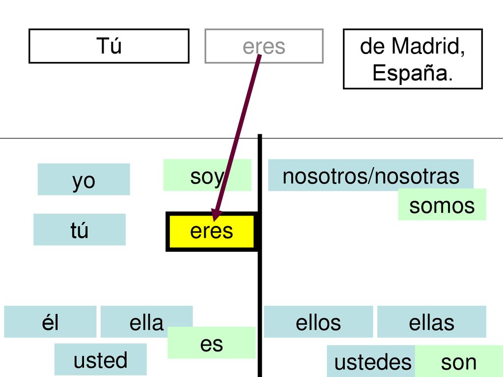 Tú eres. de Madrid, España. soy. nosotros/nosotras. yo. somos. tú. eres. él. ella. ellos.