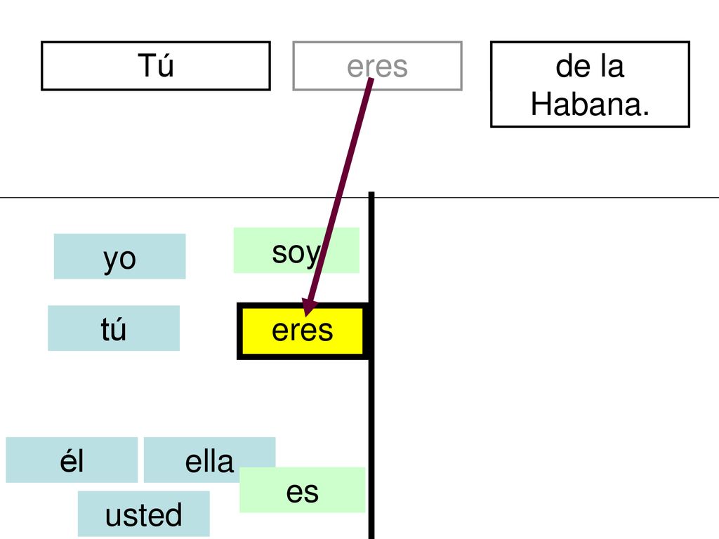 Tú eres de la Habana. divertidos soy yo tú eres él ella es usted